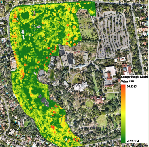 Lidar-Based Tree Classification and Feature Extraction