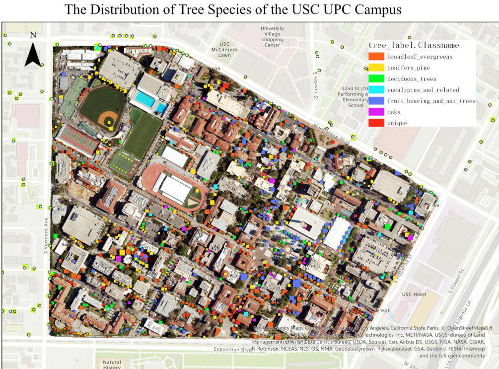Tree Species Detection on Campus